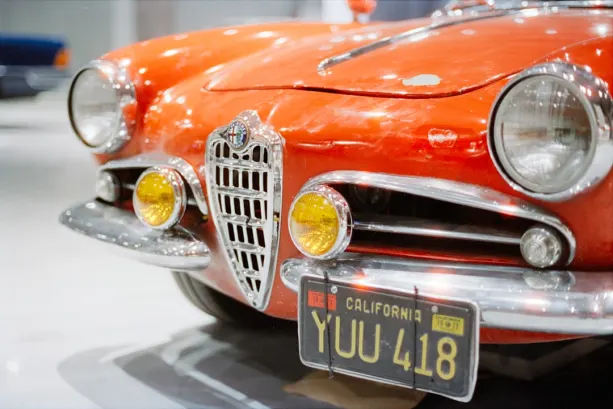 Ricky Casino Android/iOS App